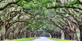 400 Oaks