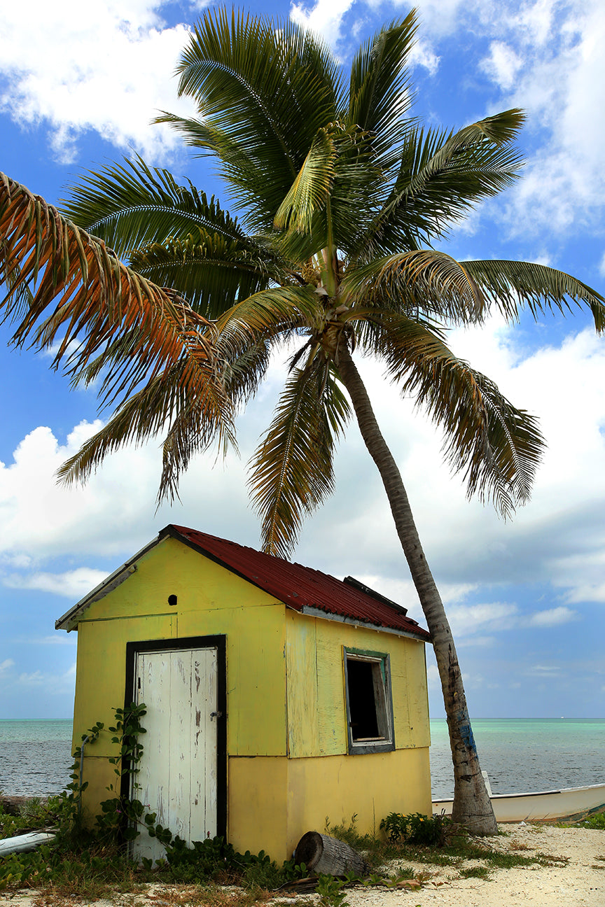 Palm Shack — fine art landscape photograph by Jeff Thamert