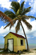 Palm Shack