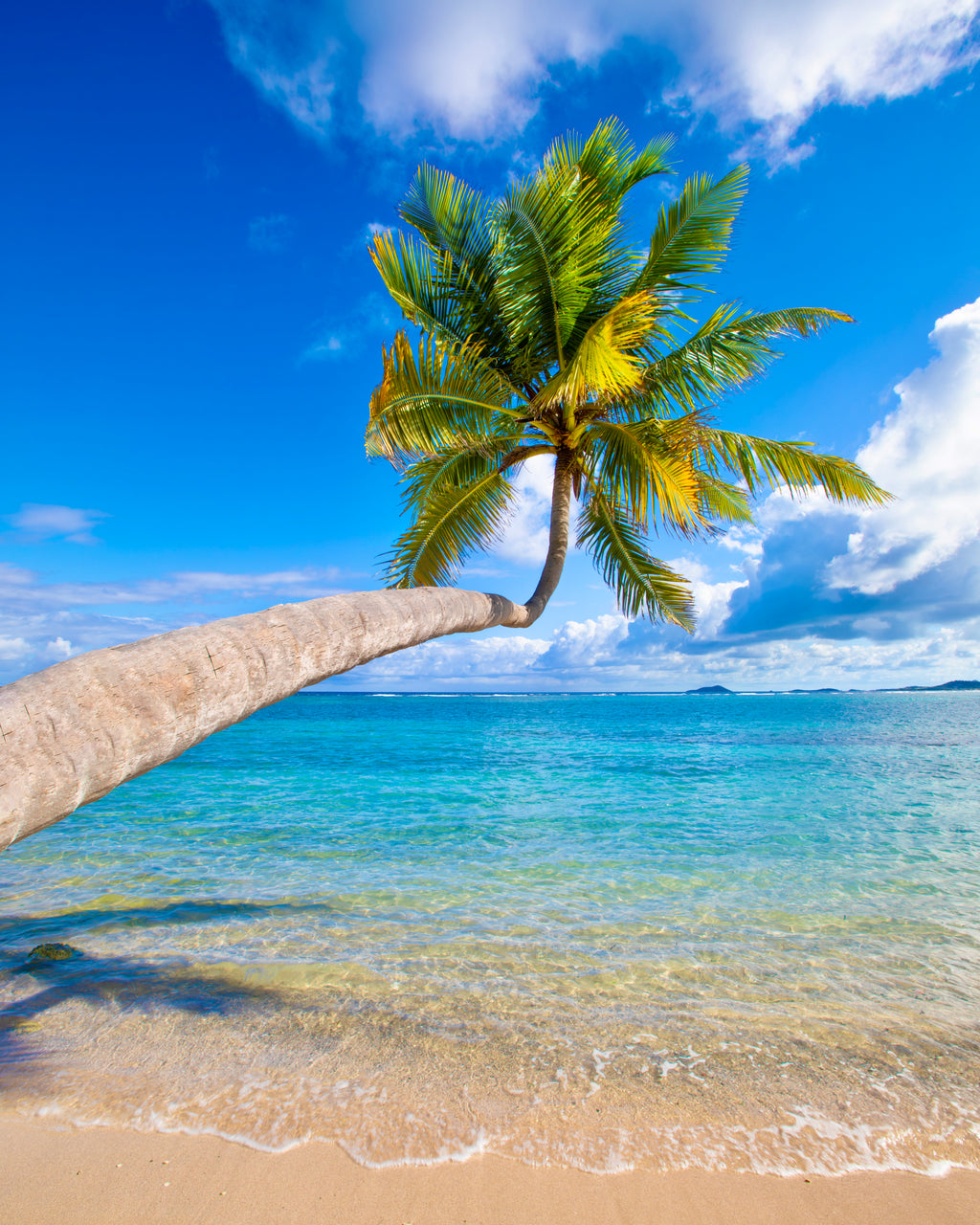 Tradewinds Vertical — fine art landscape photograph by Jeff Thamert