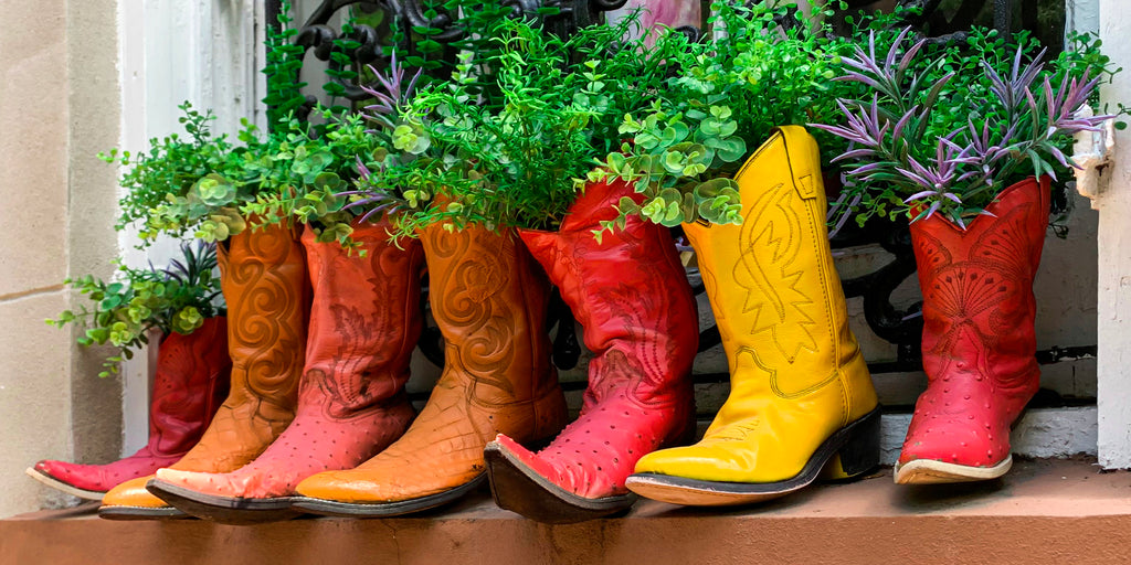 Boots — fine art landscape photograph by Jeff Thamert