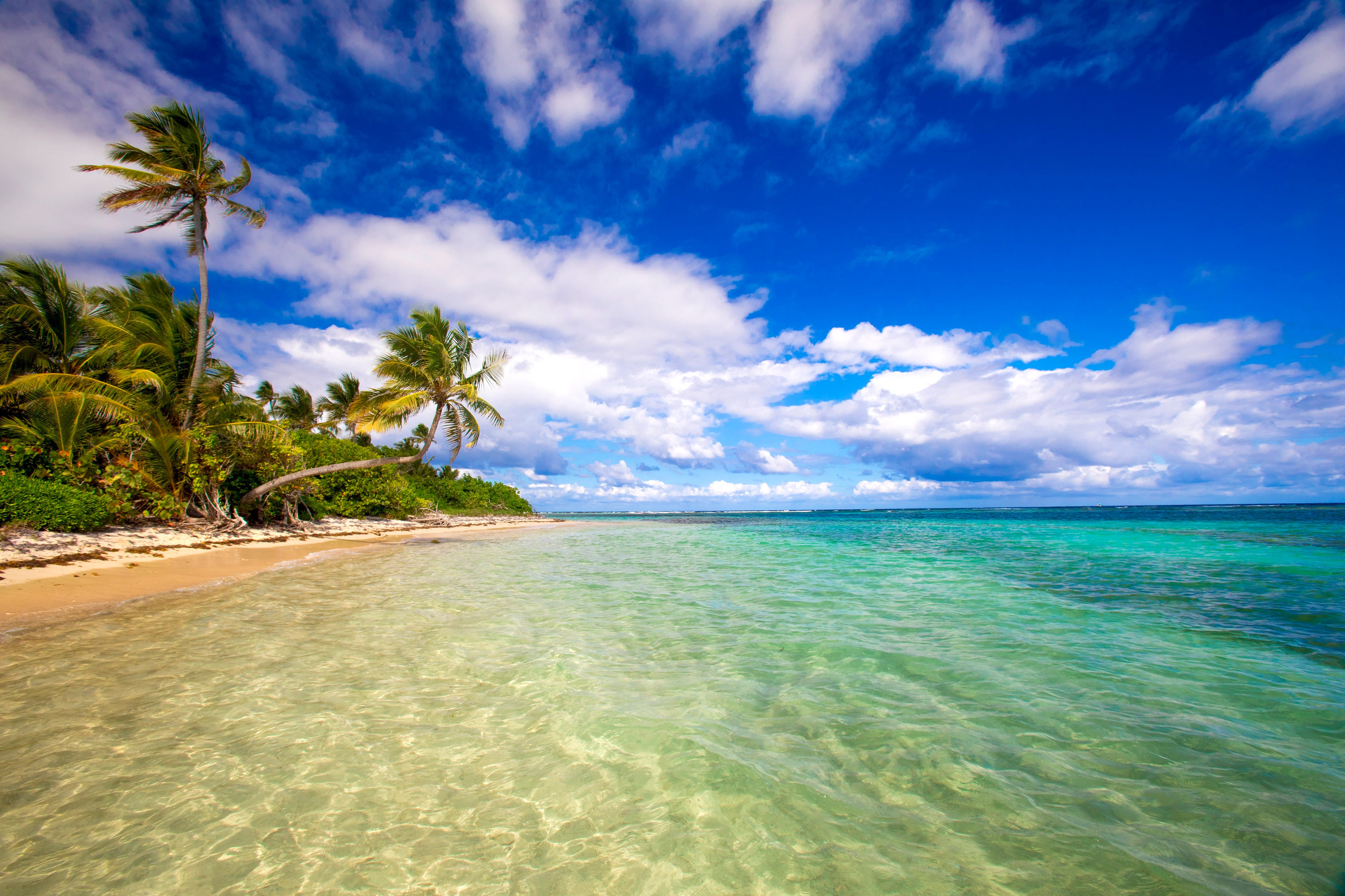 Caribbean Delight — fine art landscape photograph by Jeff Thamert