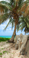 Caribbean Life — fine art landscape photograph by Jeff Thamert