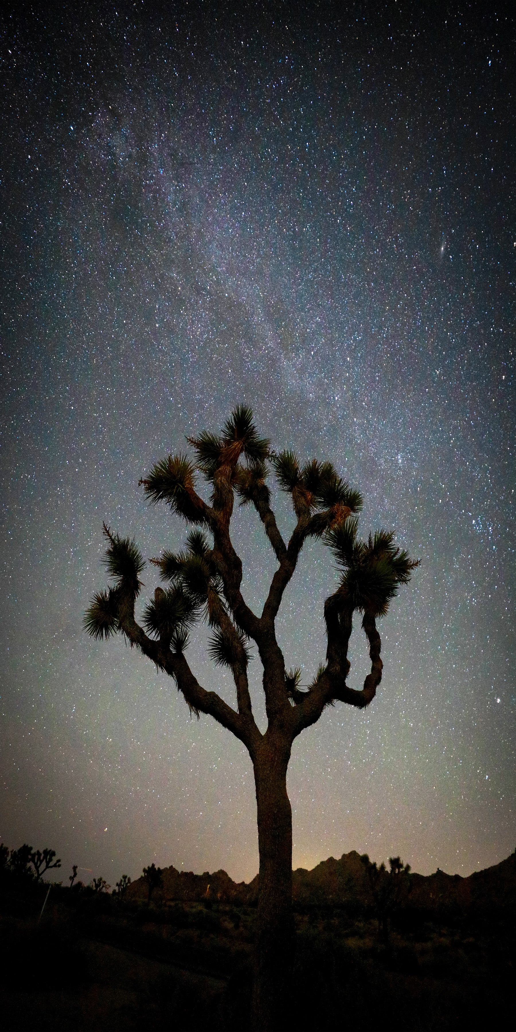 Desert Nights — fine art landscape photograph by Jeff Thamert