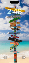 Where to Next?