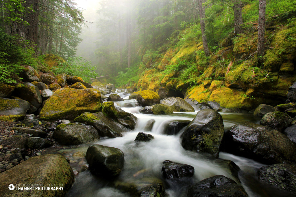 Misty Mountain Morning — fine art landscape photograph by Jeff Thamert