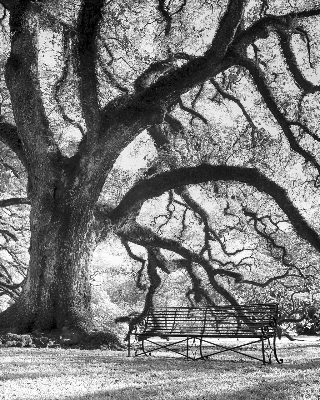 Time to Rest 2 — fine art landscape photograph by Jeff Thamert