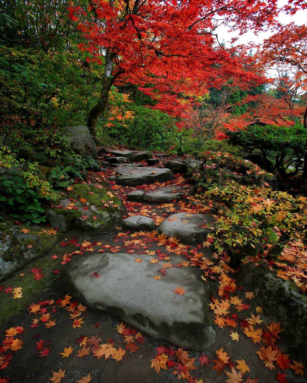 A Walk to Remember — fine art landscape photograph by Jeff Thamert