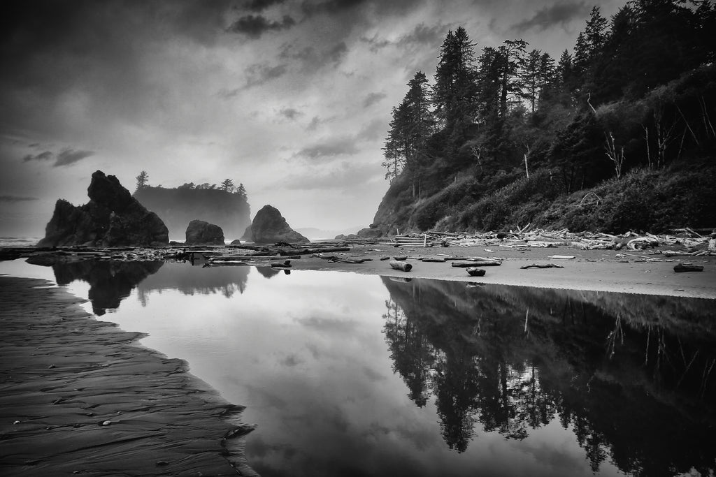 Oregon Coast — fine art landscape photograph by Jeff Thamert