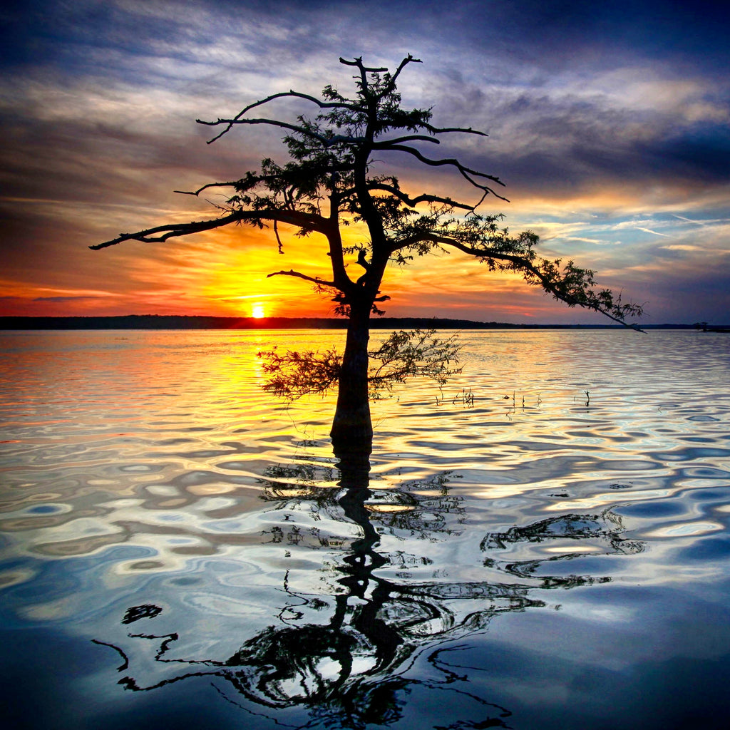 Meant to Be — fine art landscape photograph by Jeff Thamert
