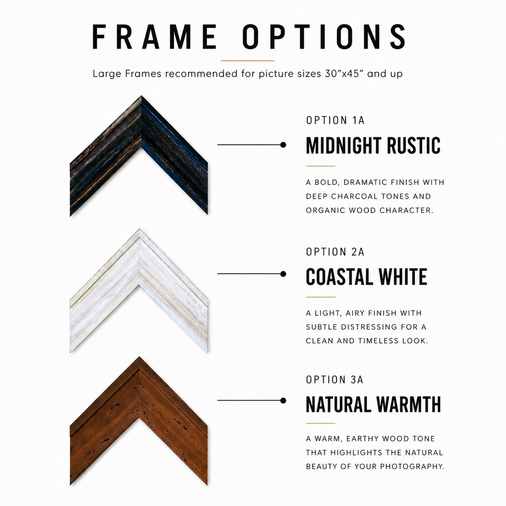 View our frame options, or call The Downtown Art Gallery at (321) 268-0122 for custom framing and special-order pricing.