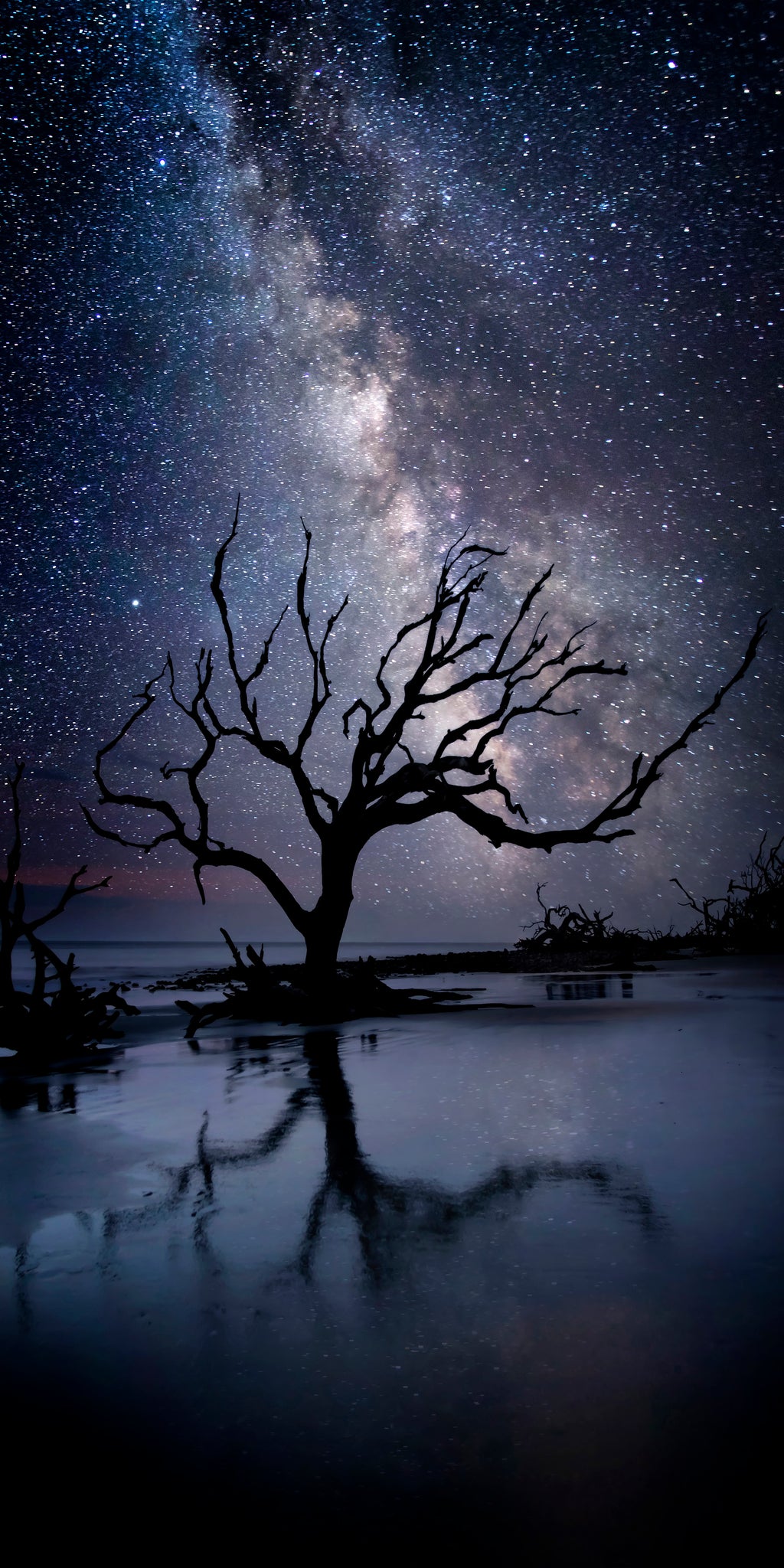 Last Stand — fine art landscape photograph by Jeff Thamert