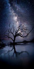 Last Stand — fine art landscape photograph by Jeff Thamert