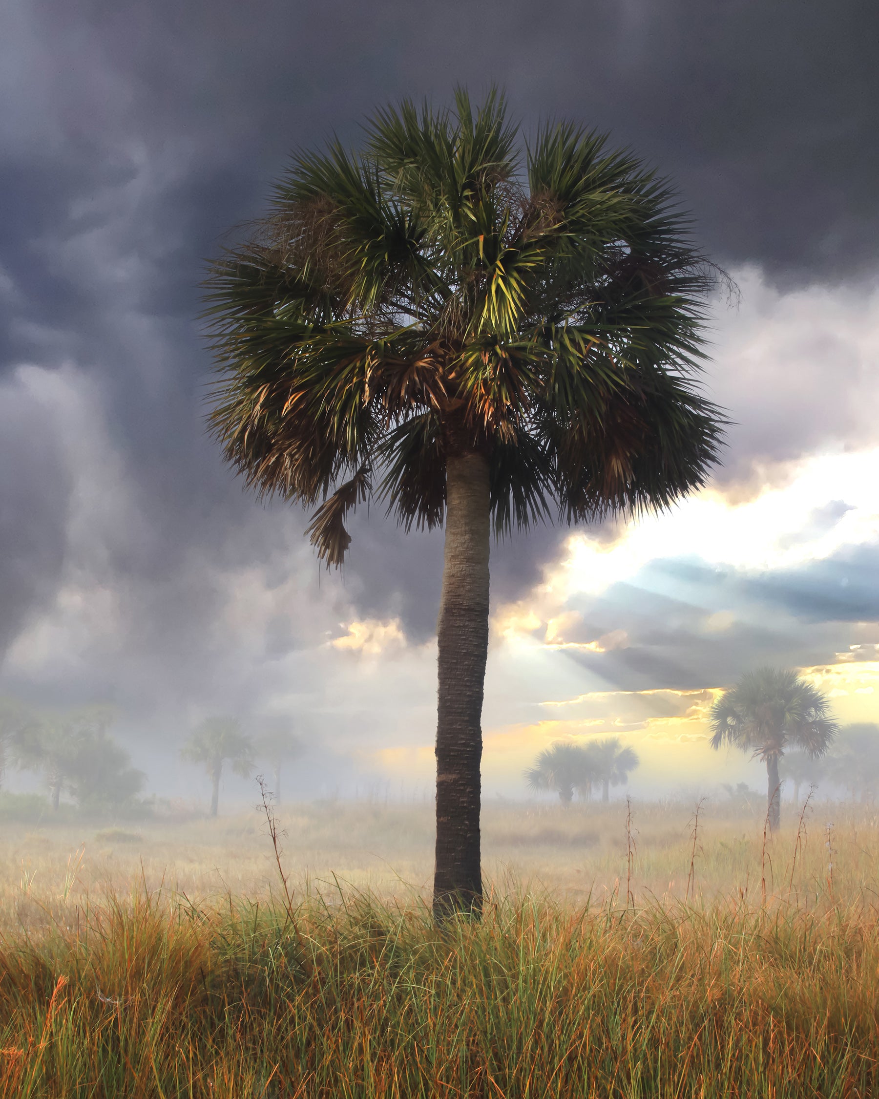 Morning Marsh Light — fine art landscape photograph by Jeff Thamert