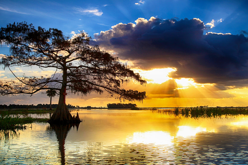 Stay Golden — fine art landscape photograph by Jeff Thamert