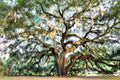 The Majestic — fine art landscape photograph by Jeff Thamert