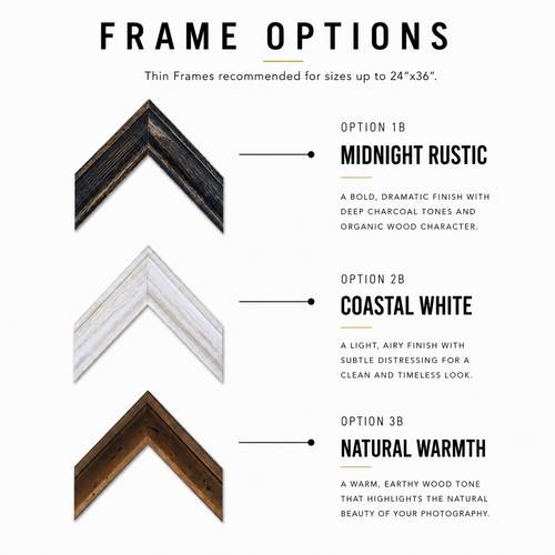 View our frame options, or call The Downtown Art Gallery at (321) 268-0122 for custom framing and special-order pricing.
