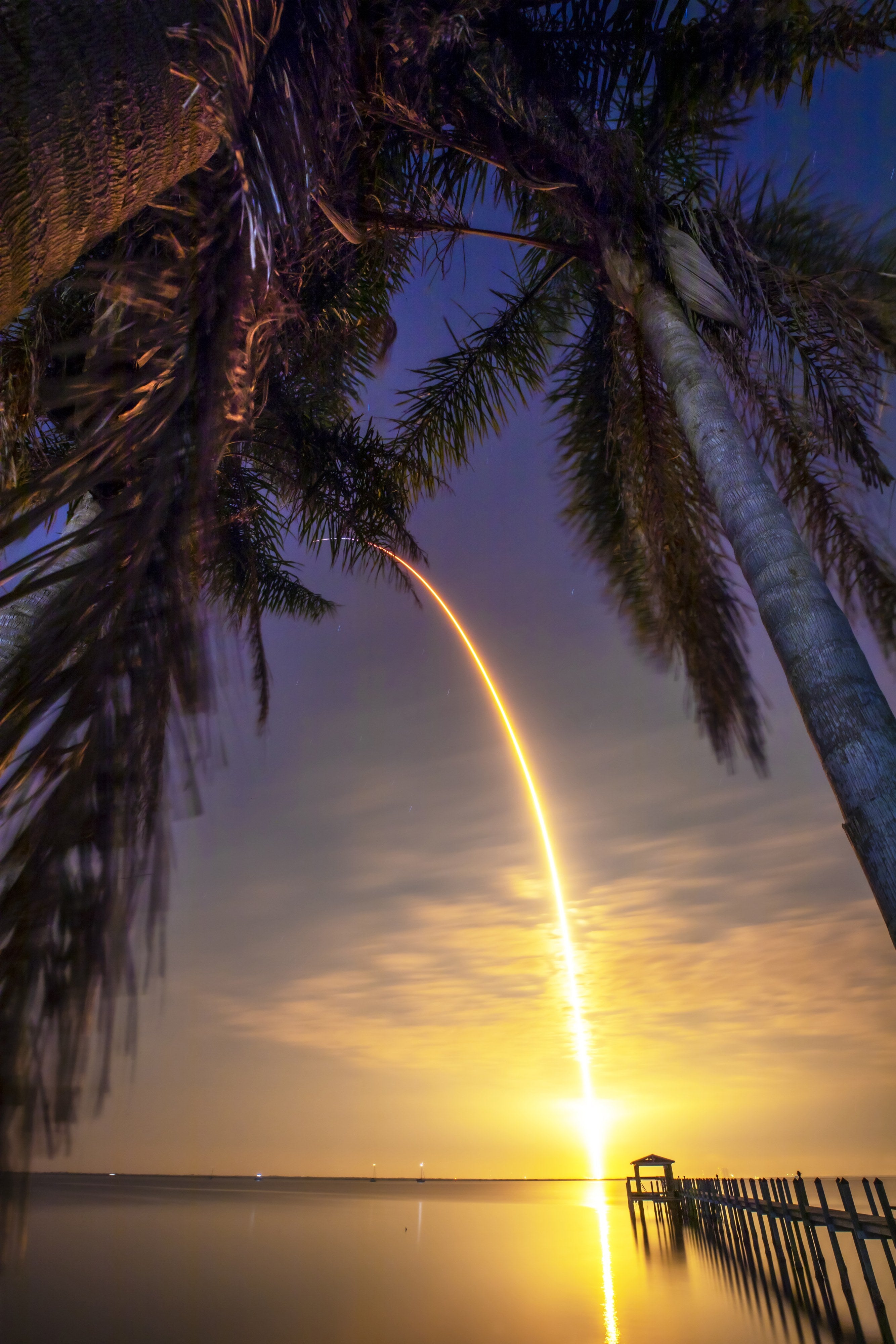 Tropic Skies