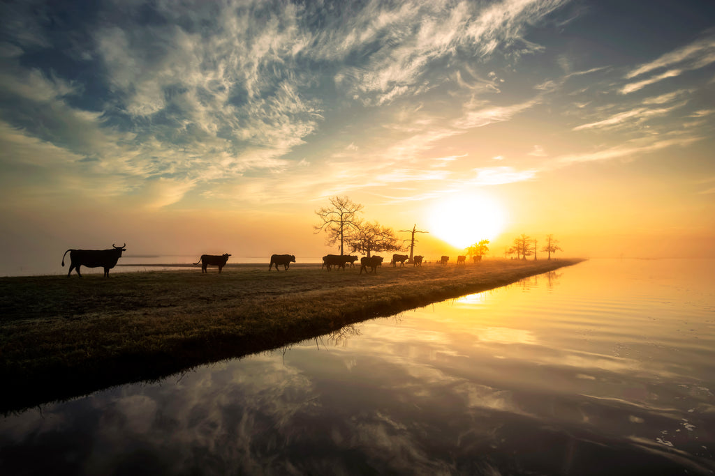 A Land Remembered — fine art landscape photograph by Jeff Thamert