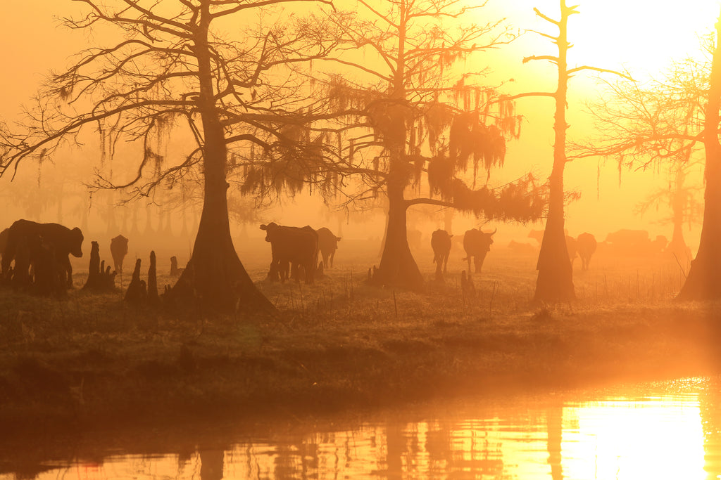 A Land Remembered II — fine art landscape photograph by Jeff Thamert