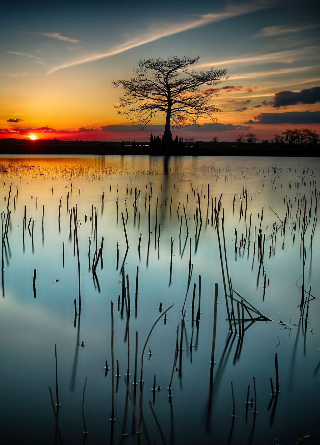 First Light — fine art landscape photograph by Jeff Thamert