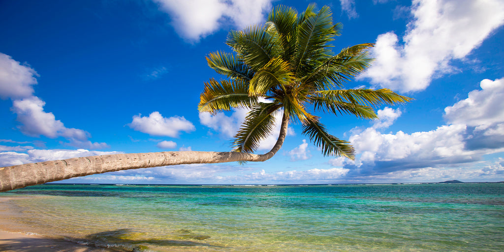 Tradewinds — fine art landscape photograph by Jeff Thamert